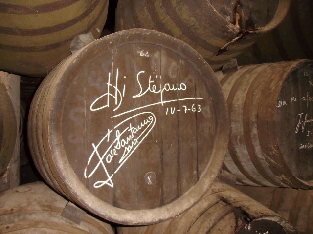 986 a. di stefano